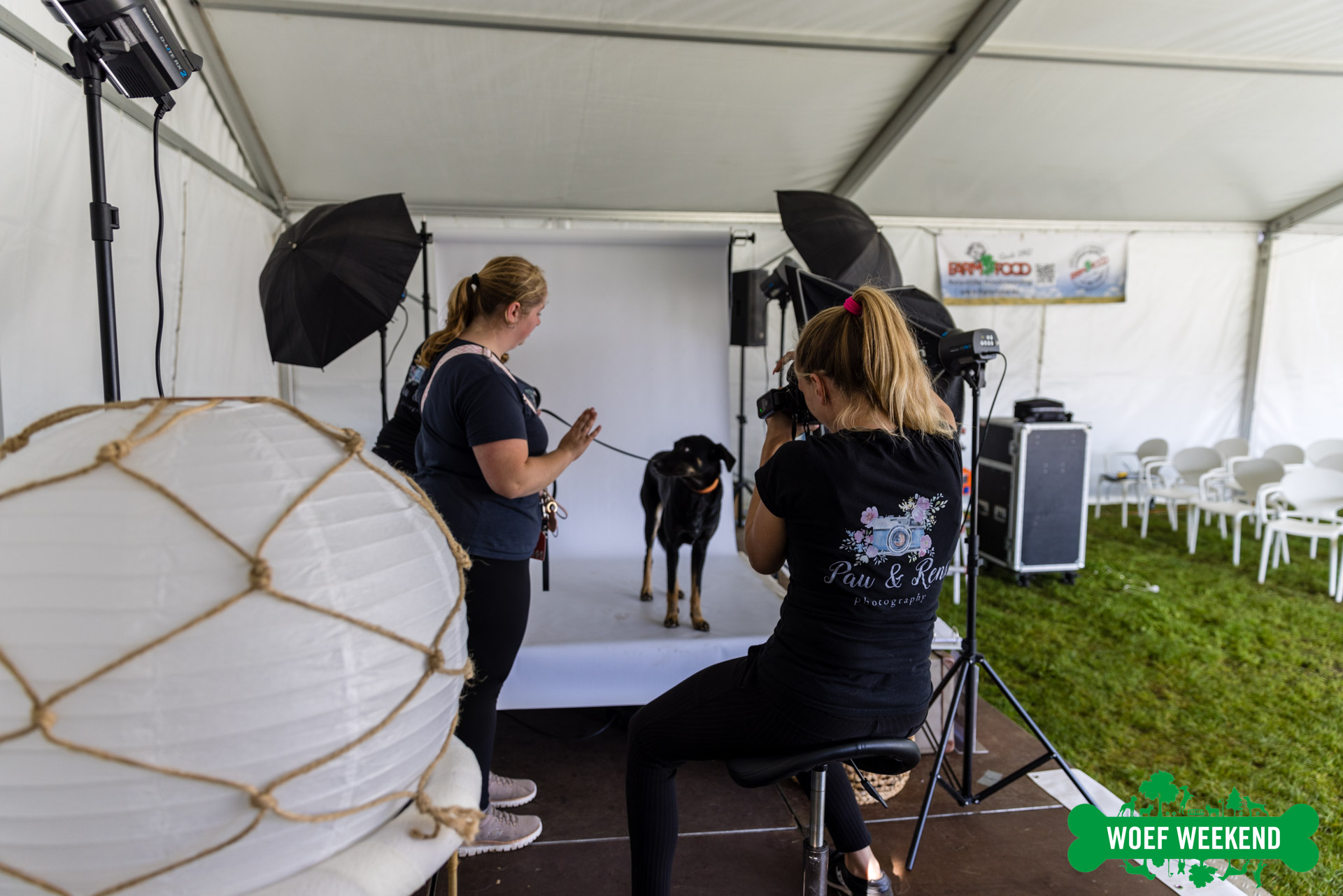 Workshop HondenFotografie